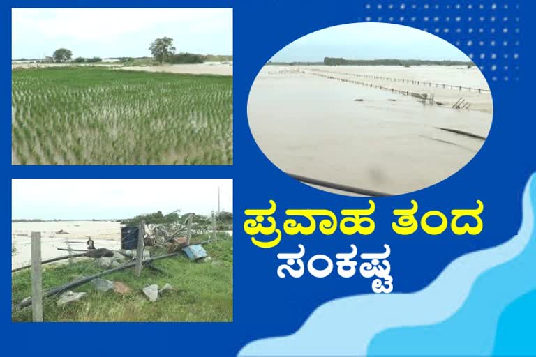 flood situation rising in raichur district; tension in lower area