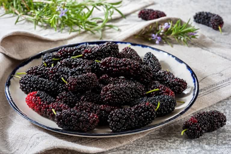 mulberry and its benefits