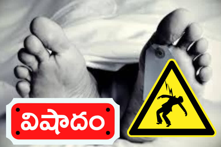 six died in repalle