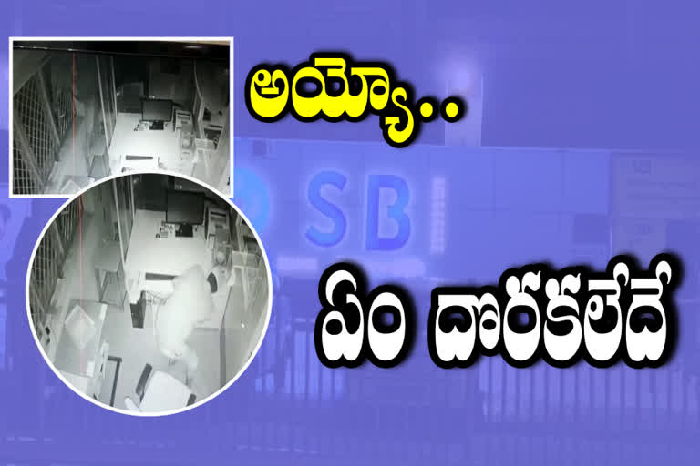 Thieves in SBI