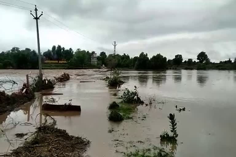 Villages connection lost due to rain, बारिश से गांवों का संपर्क टूटा