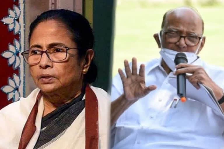 mamata-sharad