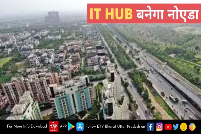 IT HUB बनेगा नोएडा