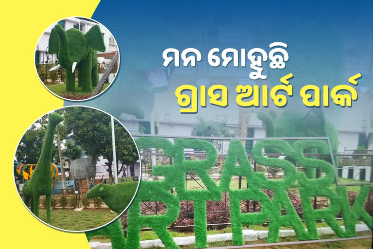 Grassland Art Park is adorned with silk city Brahmapur