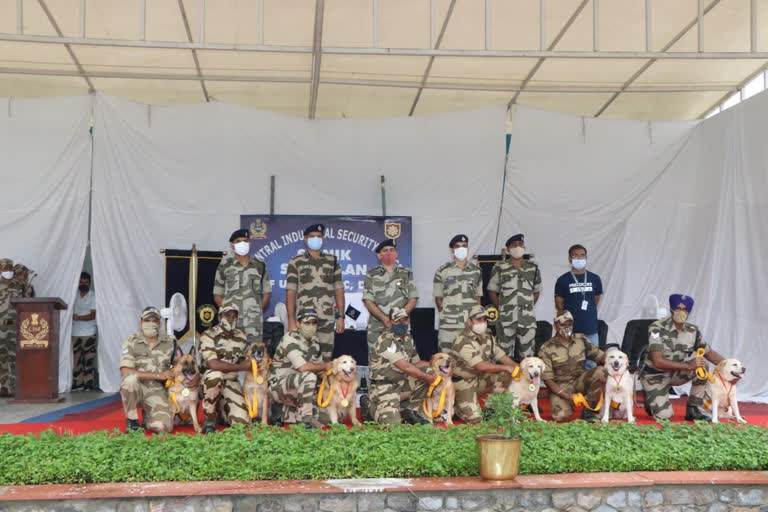 Retirement Ceremony of 7 Sniffer Dogs of CISF delhi