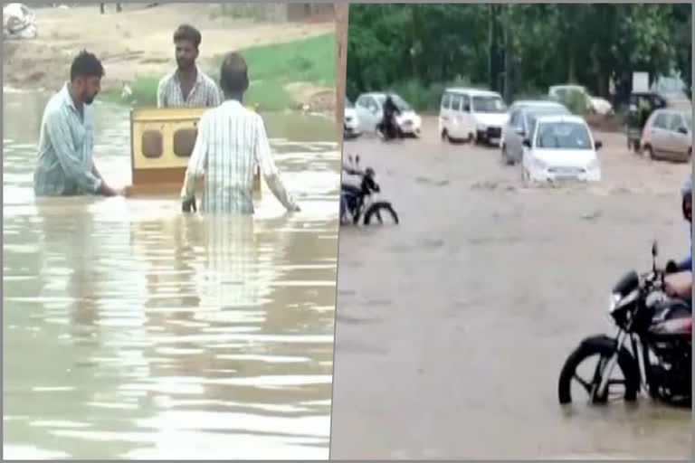 Haryana heavy rain six people died