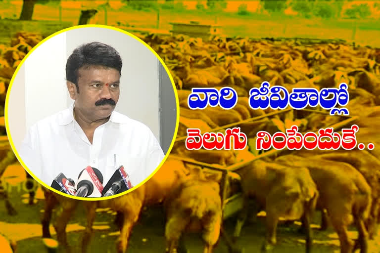 TALASANI:  'గ్రామీణ ఆర్థిక వ్యవస్థ బలోపేతం చేయాలనేదే సీఎం లక్ష్యం'