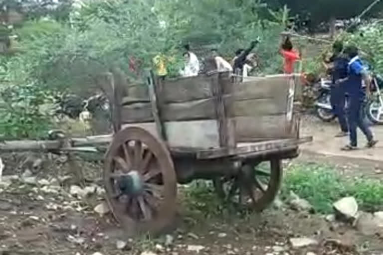 photo of stone pelting