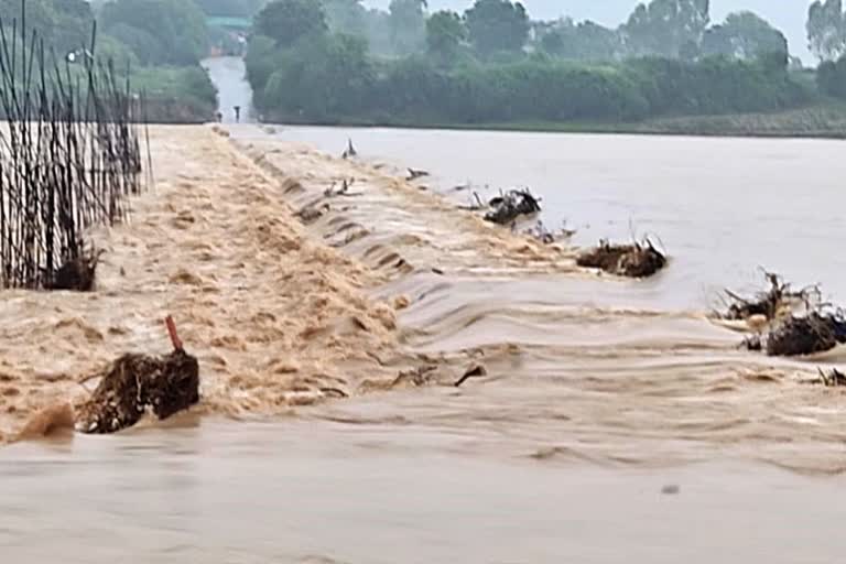 rain in rajasthan, rain in kota