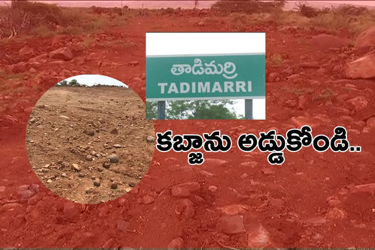occupying government land in Anantapur district