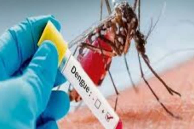 Chikungunya and dengue