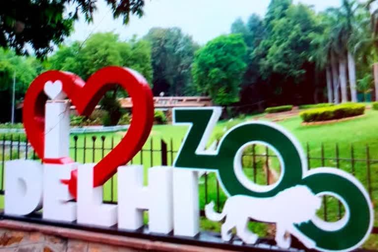 Delhi Zoo