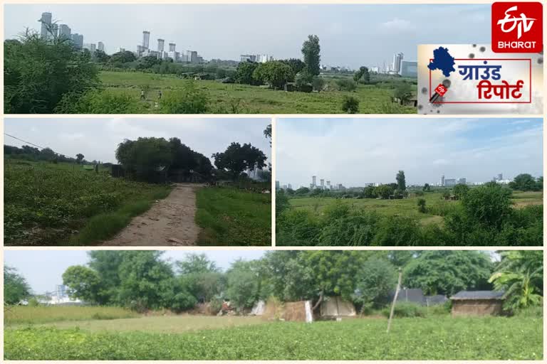 Crops damaged due to rain on banks of Yamuna in delhi