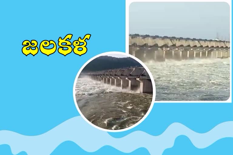 pulichintala project floods, pulichintala project water flow