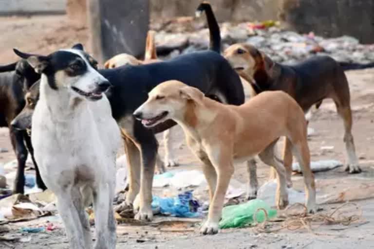 Andhra Pradesh