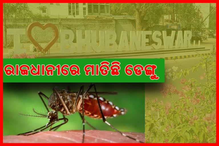 କରୋନା ପରେ ସାଙ୍ଘାତିକ ରୂପ ନେଉଛି ଡେଙ୍ଗୁ, ବେଡ଼ ସଂଖ୍ୟାଠାରୁ ଅଧିକ ଆଡମିଶନ ହେଉଛନ୍ତି ରୋଗୀ