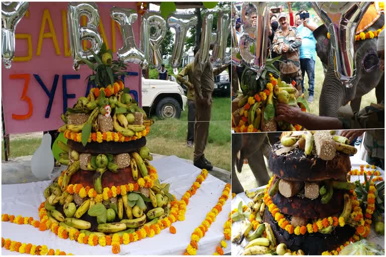 3rd-birthday-of-sawan-elephant-celebrated-with-pomp-in-kalagarh-range