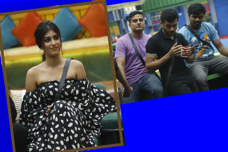 unfulfilled-desires-of-bigg-boss-8-members