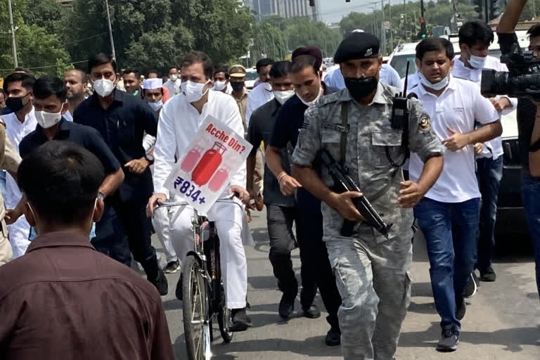 Rahul Gandhi rides bicycle to Parliament over fuel price hike