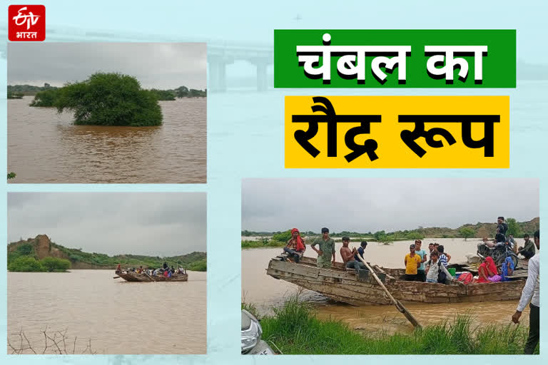 rain in Hadoti region,  Chambal river water level