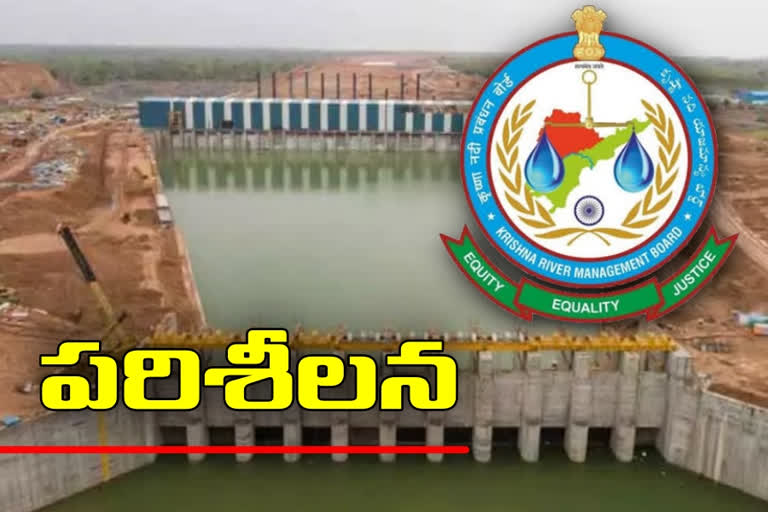 Krishna board representatives visit Rayalaseema project