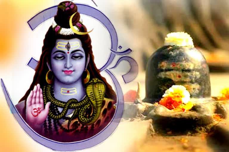 name of lord shiva snake