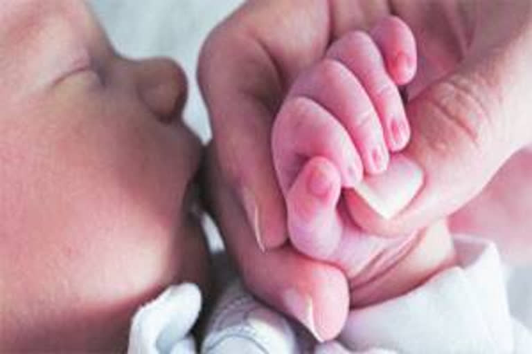 Fetus removed from the abdomen