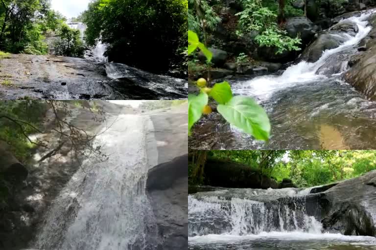 waterfalls at Odakkayam in Malappuram Urangattiri  waterfalls at Odakkayam  Malappuram Urangattiri  മലപ്പുറം ഓടക്കയത്തെ വെള്ളച്ചാട്ടങ്ങൾ  ഓടക്കയത്തെ വെള്ളച്ചാട്ടങ്ങൾ  ഓടക്കയത്തെ മൂന്ന് വെള്ളച്ചാട്ടങ്ങൾ  കൊടമ്പുഴ  കൊടമ്പുഴ വെള്ളച്ചാട്ടം  തോണിപ്പാറ വെള്ളച്ചാട്ടം  കൂരങ്കല്ല് വെള്ളച്ചാട്ടം  വെള്ളച്ചാട്ടം  waterfall  waterfall at malappuram  tourism  tourism in malappuram  malappuram tourism  മലപ്പുറം  മലപ്പുറം ടൂറിസം  മിനി ഇക്കോ ടൂറിസം  മലപ്പുറം മിനി ഇക്കോ ടൂറിസം