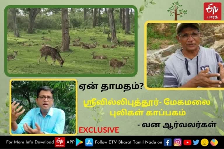 ஏன் தாமதம்? ஸ்ரீவில்லிபுத்தூர் - மேகமலை புலிகள் காப்பகம்