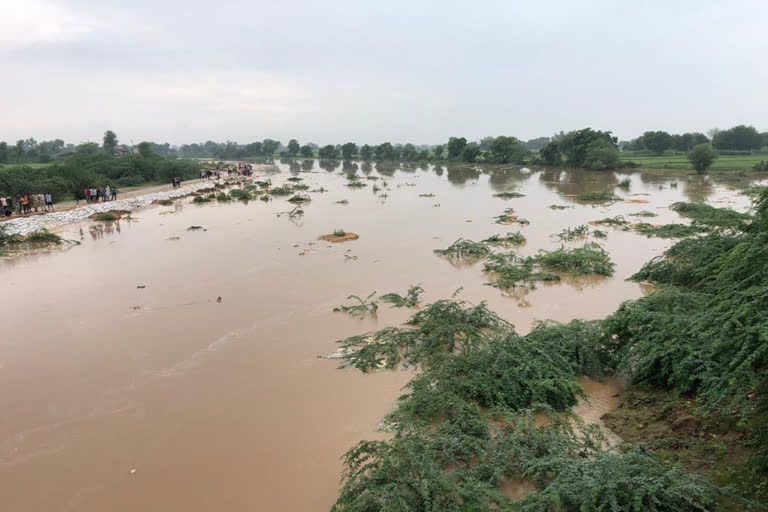 केवलादेव राष्ट्रीय उद्यान, Keoladeo National Park