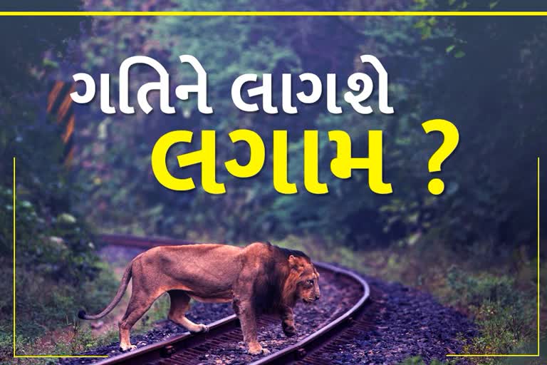 Forest વિસ્તારમાં Train સ્પીડને લઈને વનવિભાગ અને Railway આમનેસામને