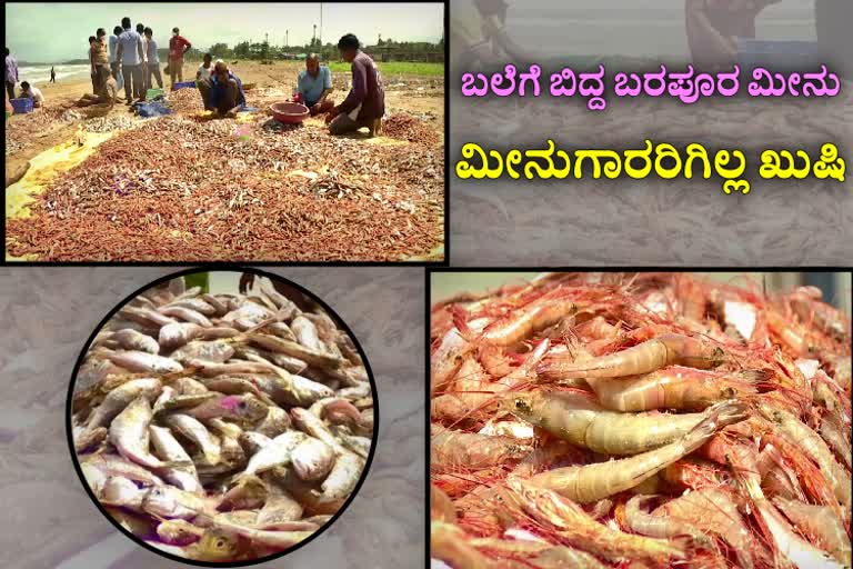 Karwar Fishermen are deprived of right price for fish