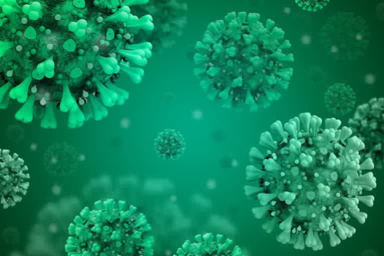 corona virus