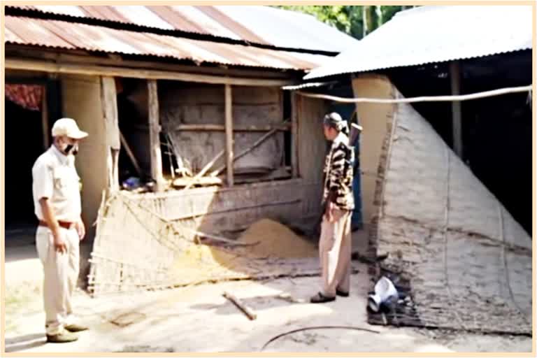 wild-elephant-terror-at-udali-of-lanka