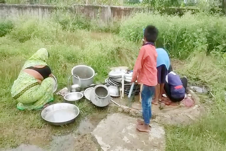 kids washing dishes