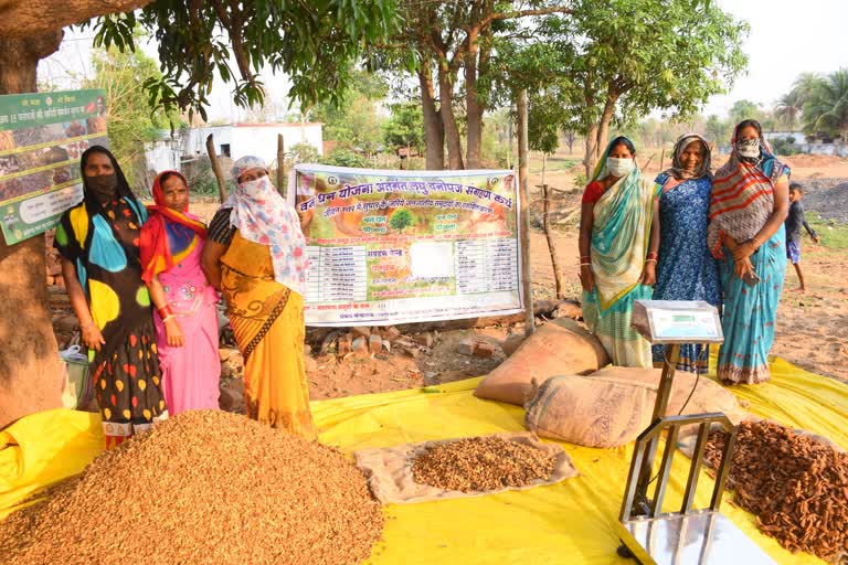 10-national-awards-to-chhattisgarh-for-procurement-processing-and-marketing-of-minor-forest-produce