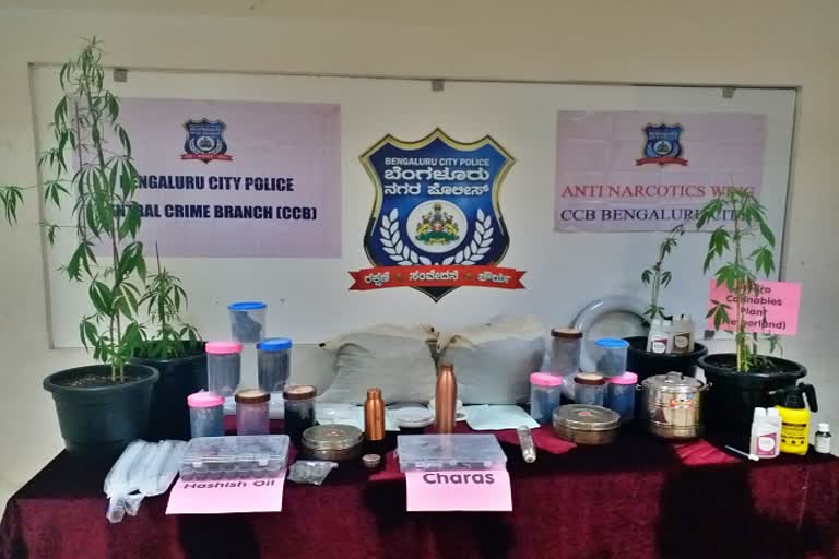 bangalore-ccb-police-seized-15-kg-of-hashish-oil