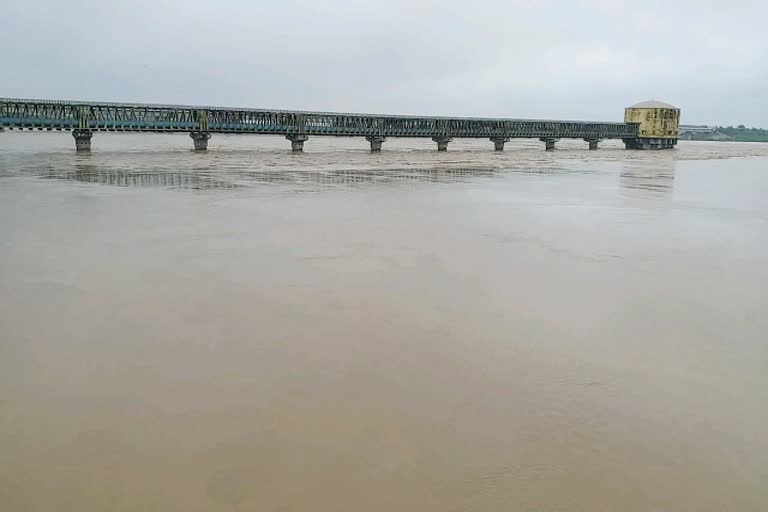 Chambal river, Dholpur news