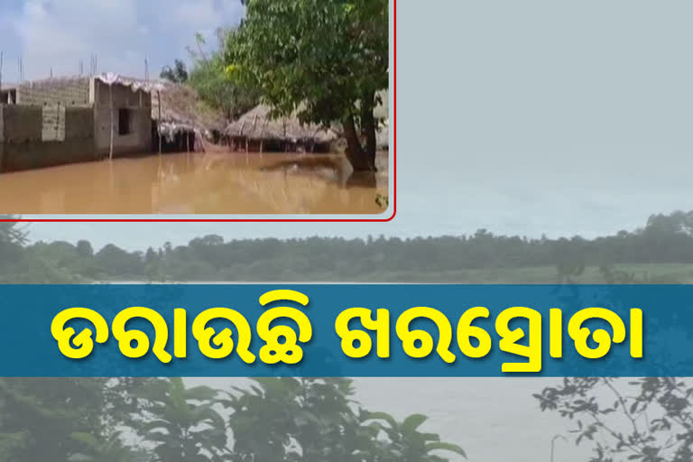 ଅସୁରକ୍ଷିତ ନଦୀବନ୍ଧ: ବନ୍ୟାଜଳ ଆତଙ୍କରେ ଭଯଭୀତ ଗ୍ରାମବାସୀ