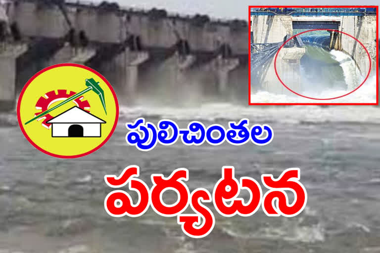 tdp visit pulichintala project