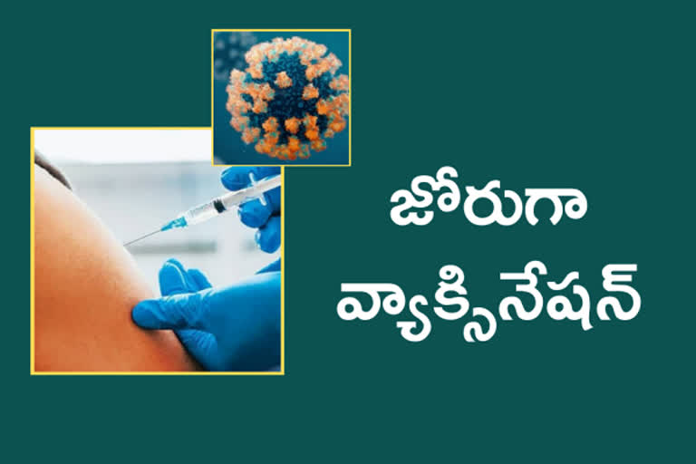 corona vaccination 50 crores