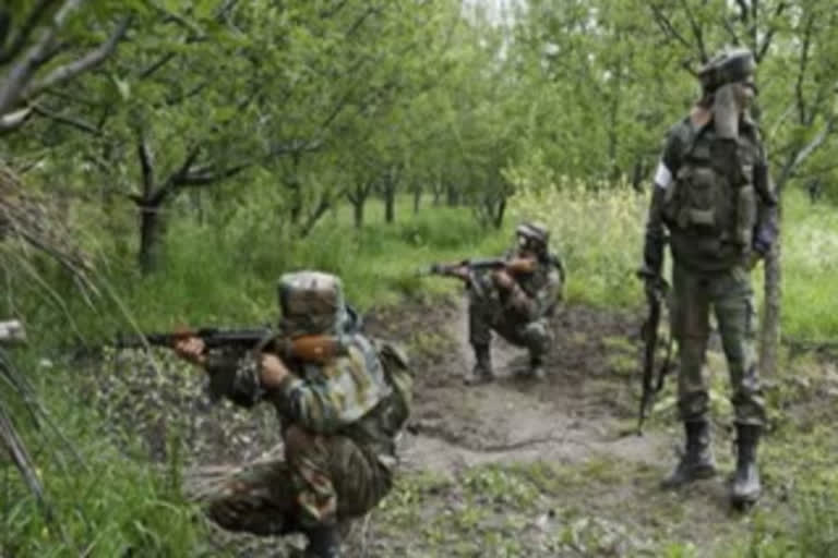 Militant killed after encounter breaks out in JK's Budgam