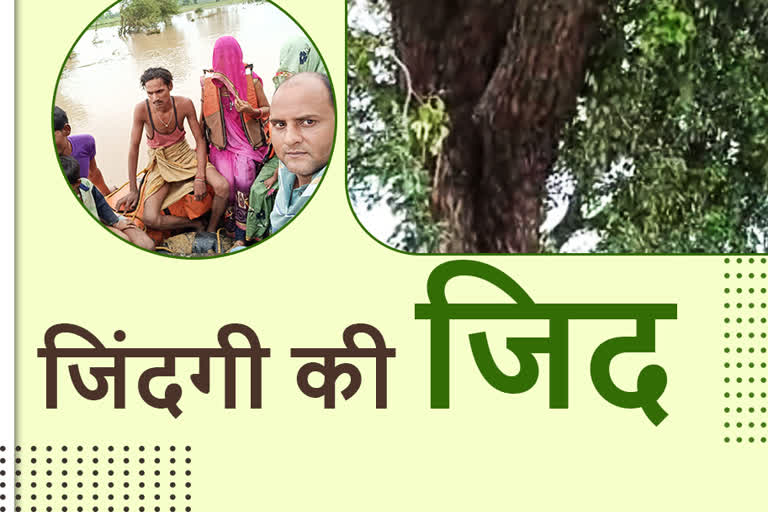 mp-a-family-save-her-life-after-rescue-they-spend-24-hour-on-a-tree