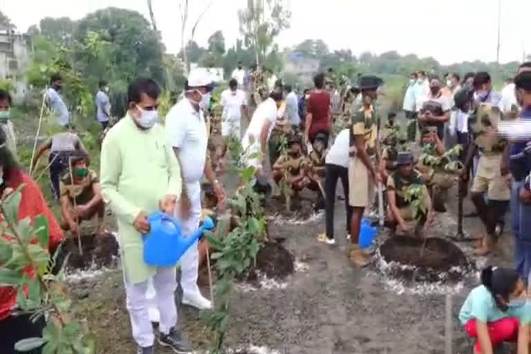 One Tree campaign launched in indore