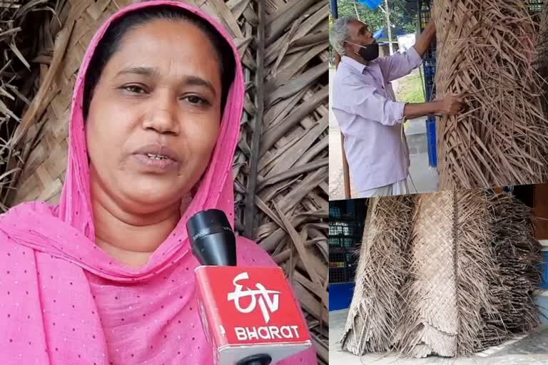 Cocunut leaf market of a family in pathanamthitta  trends in the time of concreat and glass roof  മേല്‍ക്കൂരകള്‍ കോണ്‍ഗ്രീറ്റും ഗ്ലാസുമാകുന്ന കാലത്ത് ഓലകച്ചവടം  പത്തനംതിട്ട കടമ്പനാട്ട് ജമീലയും കുടുംബവും  പത്തനംതിട്ട വാര്‍ത്ത  pathanamthitta news  ola  ഓല  ഓലമേഞ്ഞ വീട്