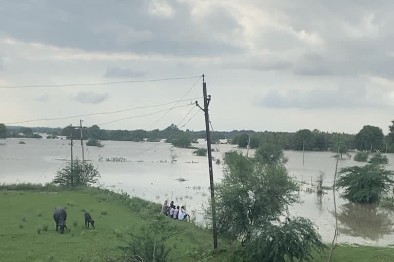 Flood warning in Bhind