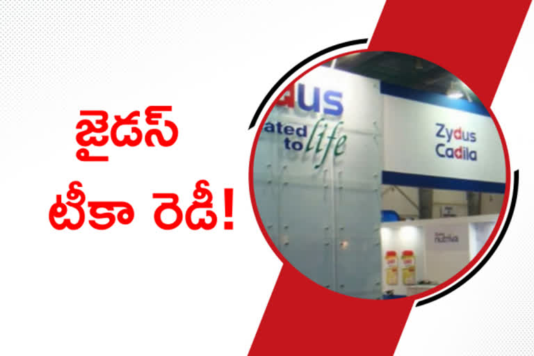 zydus cadila vaccine approval, జైడస్‌ క్యాడిలా టీకా