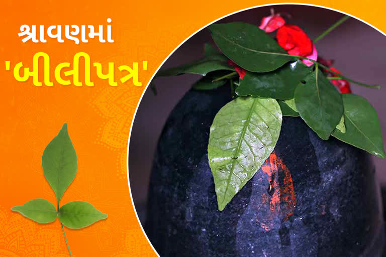 શિવલિંગ પર શાં માટે ચડાવવામાં આવે છે બીલીપત્ર,