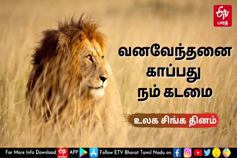 World Lion Day