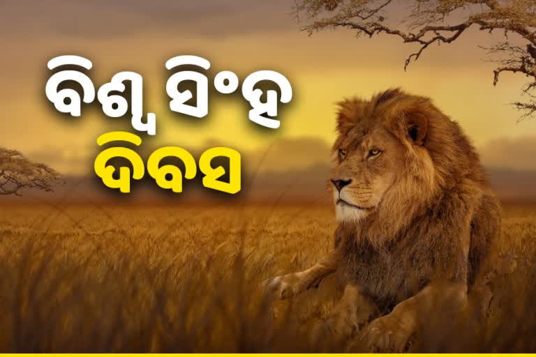 ଆଜି ବିଶ୍ୱ ସିଂହ ଦିବସ, ଜଙ୍ଗଲ ରାଜାଙ୍କ ସୁରକ୍ଷା ଏହି ଦିବସର ଲକ୍ଷ